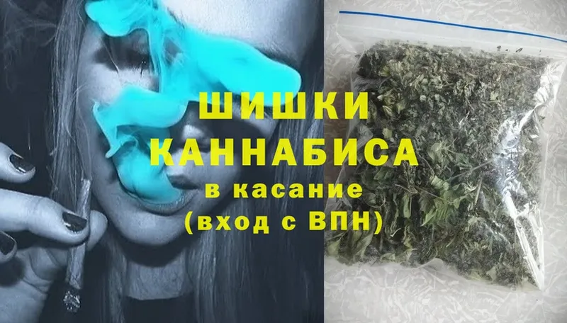 Конопля OG Kush  Курган 